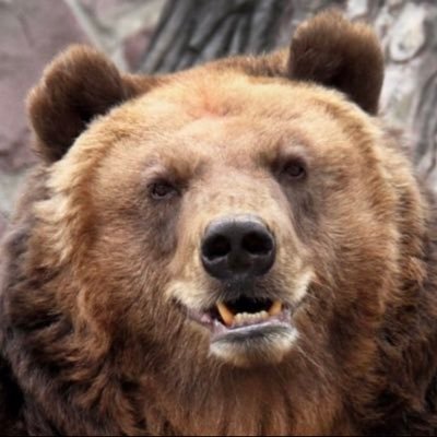 BearlyGrizzzlyArtさんのプロフィール画像
