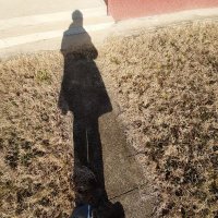 Гојник (@gojniko) 's Twitter Profile Photo Гојник (@gojniko) 's Twitter Profile Photo