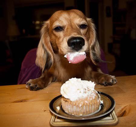 manolochan's profile picture. Phd Media and Communications. Anime and Media scholar. In love with MassMedia, even more since it’s at risk of extinction..#myanmar