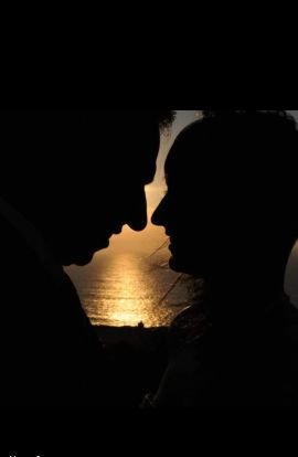 nunosantos_80's profile picture. Entender não é concordar