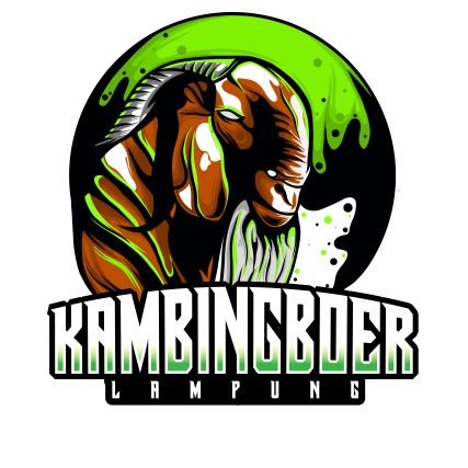 Kambing_boer_lampung