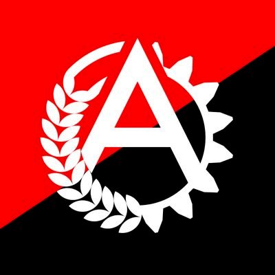 Antifascist, Anarcho-communist | LGBTQ+ | She/They