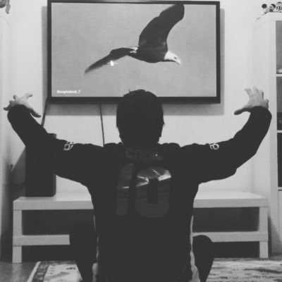 Cheviker's profile picture. Çanakkale'li Beşiktaş'lı Atatürkçü...