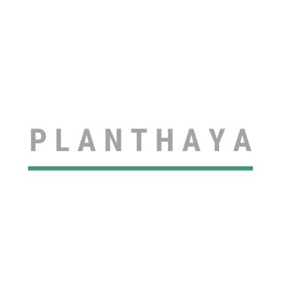 Planthaya Profile