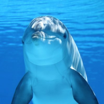 ウキィーさんのプロフィール画像