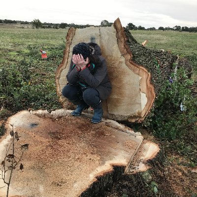 GradyKerry's profile picture. Wildlife Lover. Nature writer. Irish remainer. StopHS2campaigner. Part time grey seal