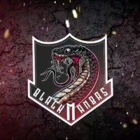Black Mambas🐍 (@bmesport) 's Twitter Profile