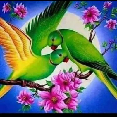 ARafi06295856's profile picture. 💯💯💯💯💯💯💯💯💯💯💢 follow back