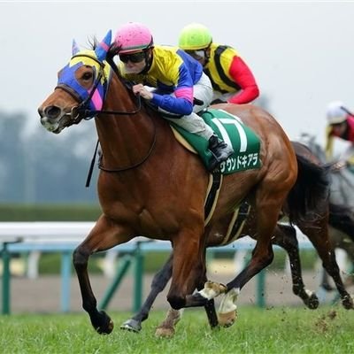 yuu12369074's profile picture. 競馬アカウントです。
追いきりを重視していますが、血統も学んでいきたい！