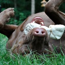 Jacob Gilman - @JacobGilman - Twitter