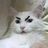 くえるだのアイコン