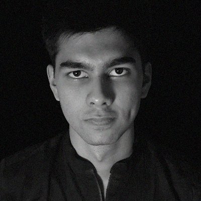 blueinversionx's profile picture. blueinversion.eth