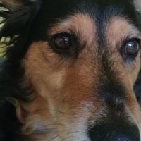 asiu🇵🇱 (@joanna_r_) 's Twitter Profile