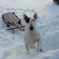 Jay (@delreyjay1) 's Twitter Profile Photo Jay (@delreyjay1) 's Twitter Profile Photo