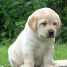 bygntk's profile picture. 