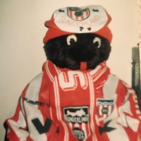 Hunter The Punter (@huntathepunta2) 's Twitter Profile