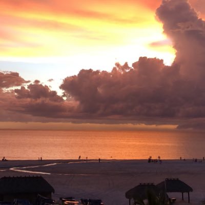 lifezabeach2020's profile picture. American Patriot 🇺🇸 Live by the Golden Rule.