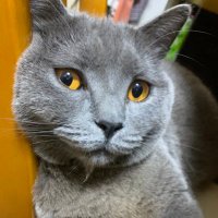 伊万是个诺夫 (@njslnhsfhojjsmy) Twitter profile photo