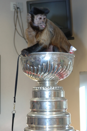 5fighting's profile picture. 