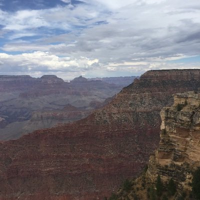 Slatedgray's profile picture. 