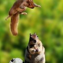 Hannah Vickers - @Hannahvick12 - Twitter