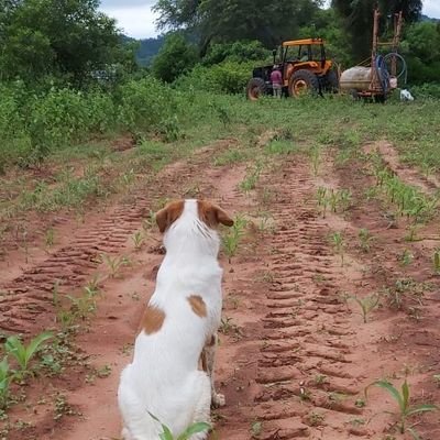 fravar101's profile picture. Sabina, folclore, rock//del fútbol//Ingeniero gracias a mis viejos// humano completo por la calle//de Blooming y del campeón de América!!
