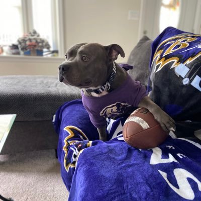 SonnyBmore's profile picture. Let's just hope it's not to late...