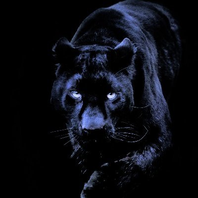 searcher012's profile picture. Searcher of Truth. Awake. Observer of Life. 
Biologist-Botanist, Q & Trump supporter
Love, Life, Laughter we are All the Creator and the Creator is All of Us.