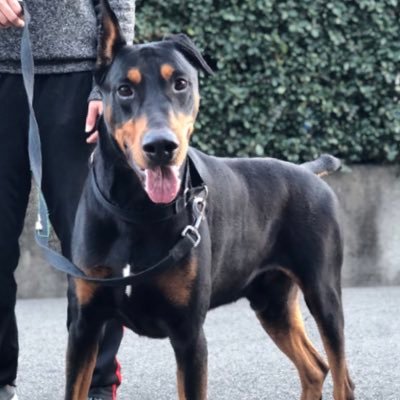 kazuto199012's profile picture. 尊敬する人を見るためのアカウントです！