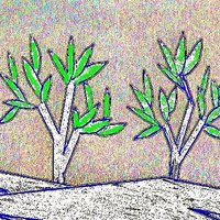 Revista Almaceite (@revistalmaceite) 's Twitter Profile Photo