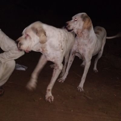 TariqIq81832449's profile picture. Job in Dubai