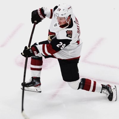 Arizona Coyotes 29