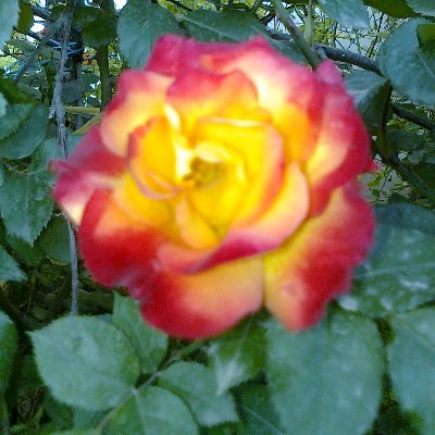 UbZIyNvtDWYUttP's profile picture. خوش قلب