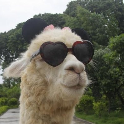 We are the most sexy alpacas of the world and remember save your packs ;)

First CTF peruvian team (?)

Our opinions are not ours, but neither are yours.