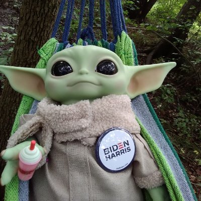 Here for the cat videos.  I sometimes post toy nonsense.  Mitch McConnell is a Sith Lord. Bluesky Instagram @swlabr123