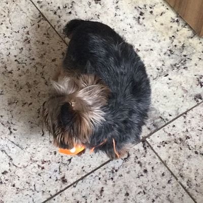 mhcp579561's profile picture. 