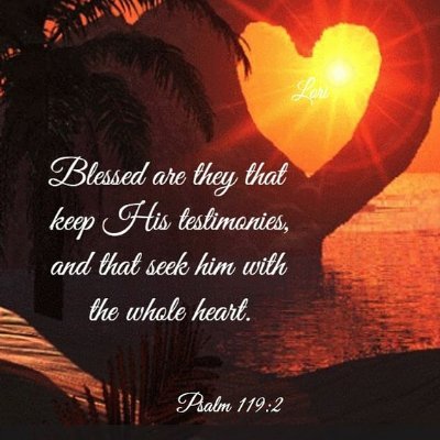 anithappts's profile picture. SEO Analyst@ PPTS India Pvt Ltd