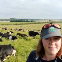 Sophie Wilson (@sophiestoye) 's Twitter Profile