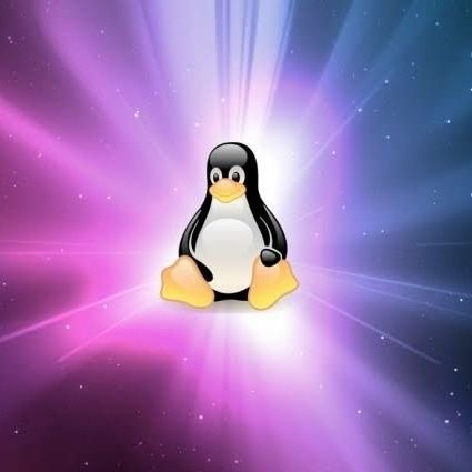 pinguim