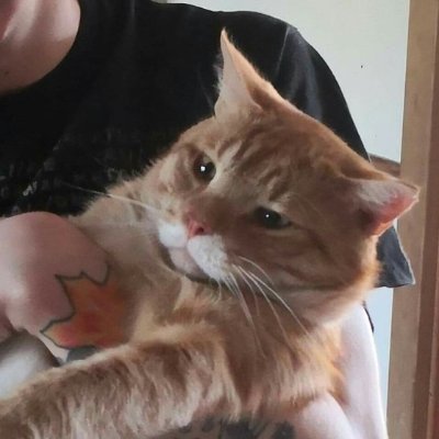 NoxiousLydom's profile picture. ** Passionate about cute aesthetics and tattoos ** proud cat dad ** head full of moonlight **