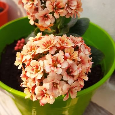 Flukita79's profile picture. 