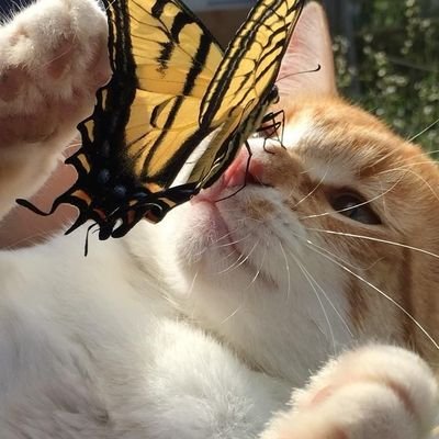 umama_nasir32's profile picture. Find me screaming a̵t̵ ̵m̵y̵ ̵c̵o̵d̵e̵