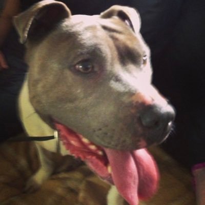 sam_ramaz's profile picture. 