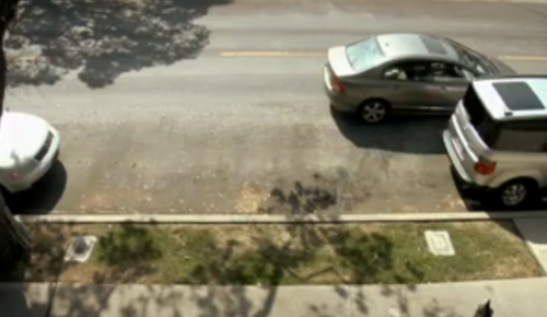 ParallelParking's profile picture. Helping people parallel park, one tweet at a time. Brought to you by Vehix and Elastic Lab.