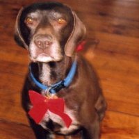 Keith Chambers (@casey3777) 's Twitter Profile Photo Keith Chambers (@casey3777) 's Twitter Profile Photo