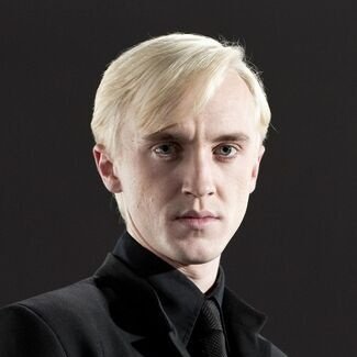 Moi je m'appelle Malefoy... Drago Malefoy rival bien coiffé du célèbre Saint Potter je hais les Sang-de-bourbes et mon père en entendra parler
🐍♥️