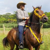 NADIR DAVID TAPIA CARDENAS (@tapia_nadir) 's Twitter Profile