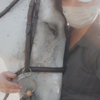 DOAFEIGroom's profile picture. she/her/they

formerly Diary of a Working Student from Tumblr

pro groom in three phase land.

loves tea ☕

sex & kink positive