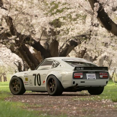 kurumu705395881's profile picture. 