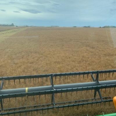 snaxbere's profile picture. 